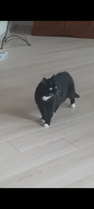 1730902794096