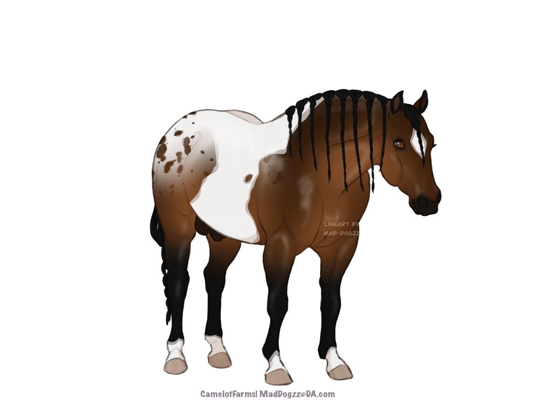 BB39AF39-B44F-4DA3-B797-7E7F90F455F0