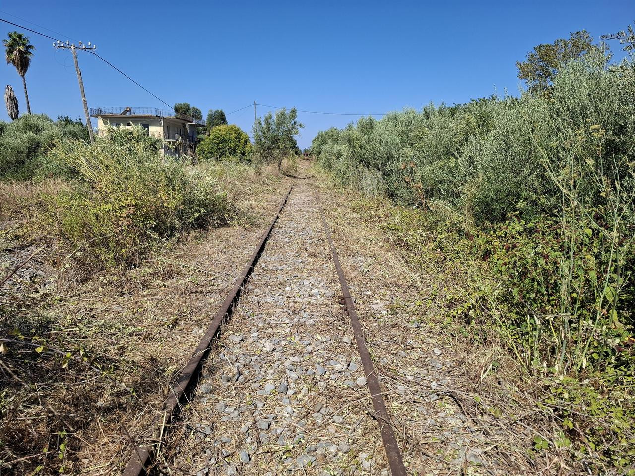 574871424 1489473965620907 7234041741260878002 n