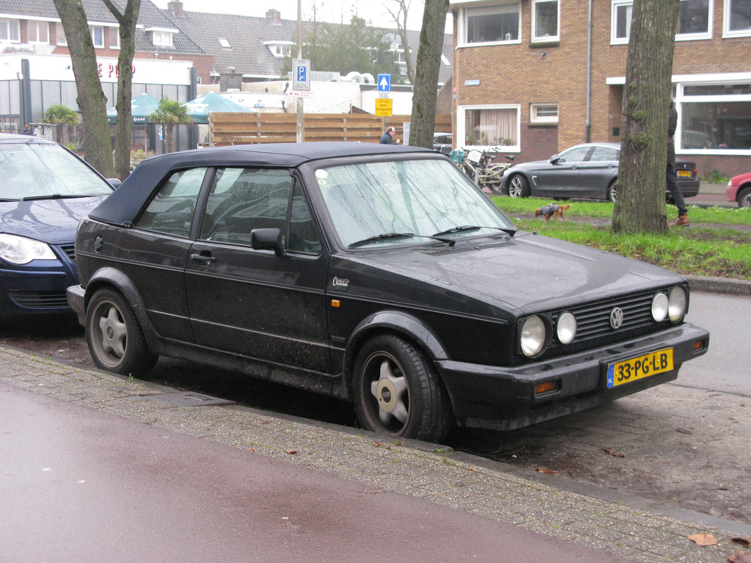 IMG-6621.jpg