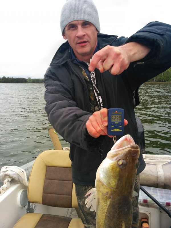 2 Судак-Михаил-Никулин джиг спиннинг катушка щука окунь приманка мастер-класс Куляпин Андрей