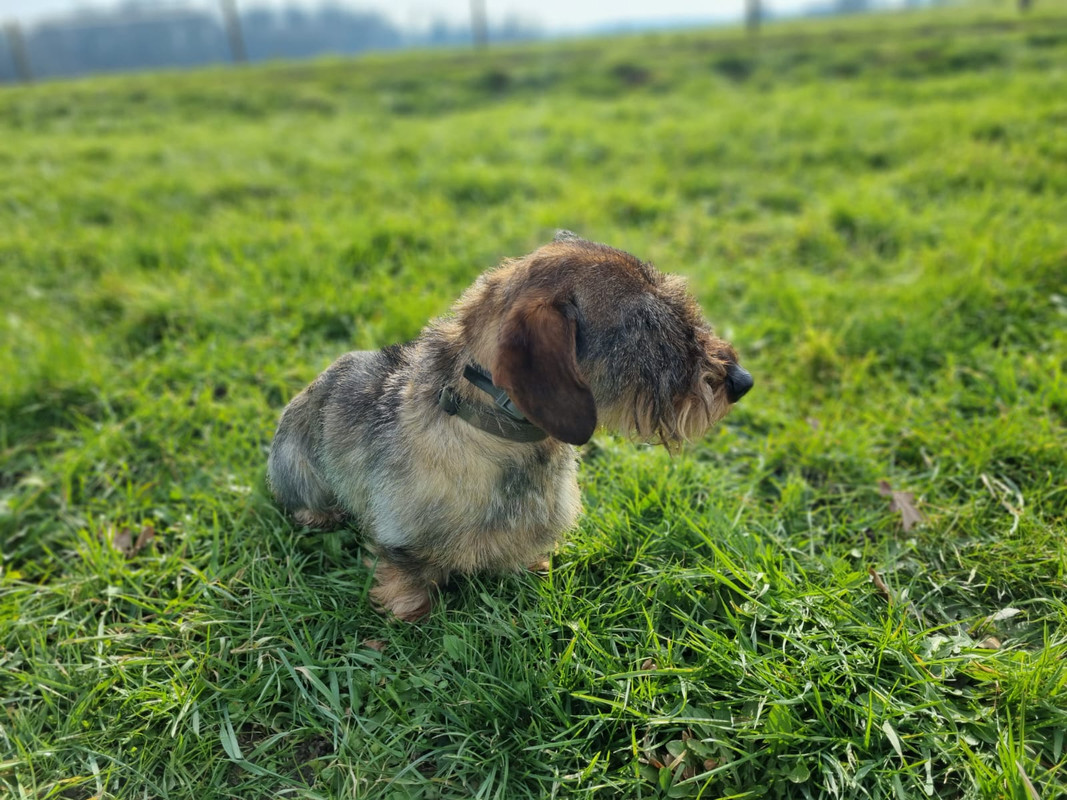 [Image: IMG-20230209-WA0012.jpg]