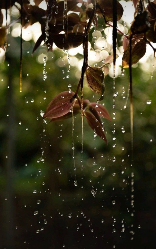 Screenshot_20231130_234452_Pinterest