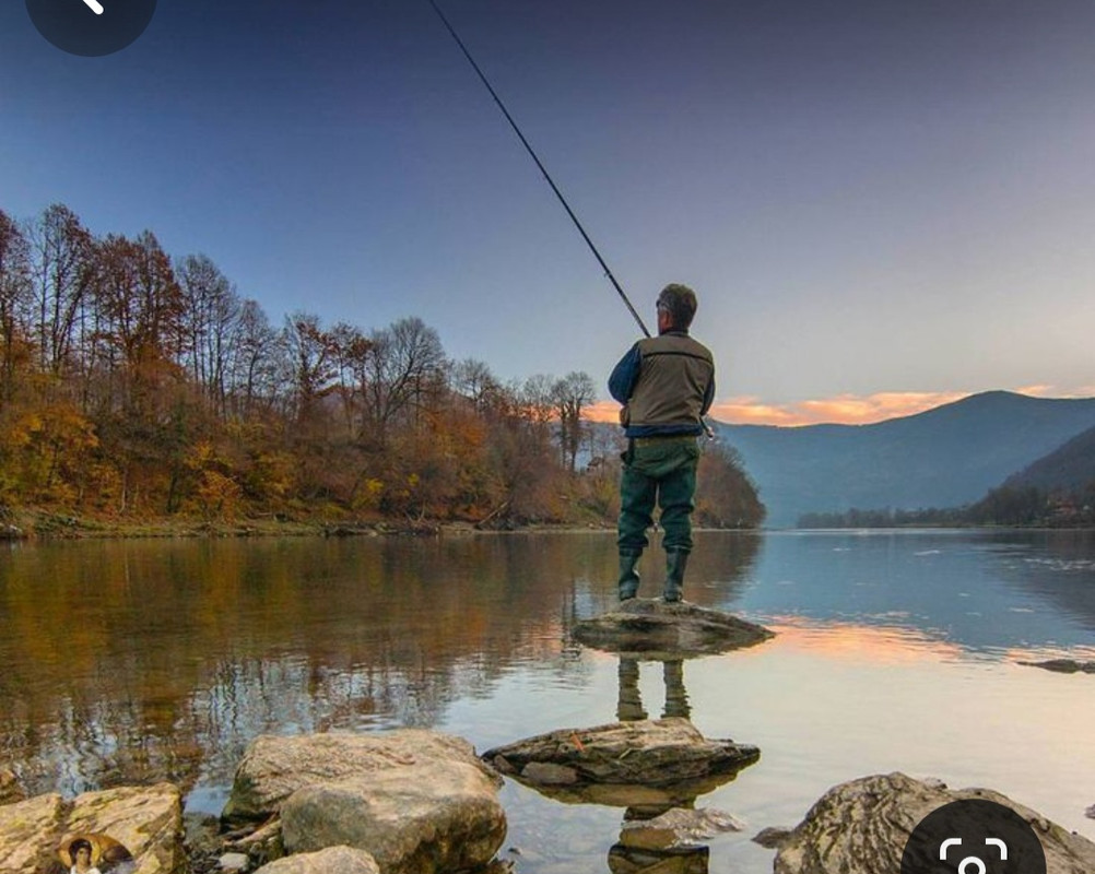 Screenshot_20231119_100644_Pinterest