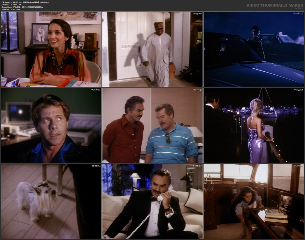 B.L. Stryker S02E04 Grand Theft Hotel.mkv