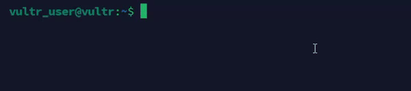 Verbose Output