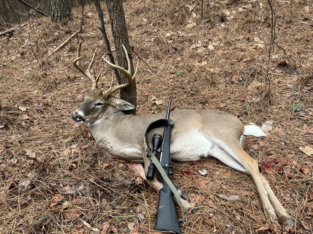 6A7AB608-0F4B-43BA-8B88-38FED702C244