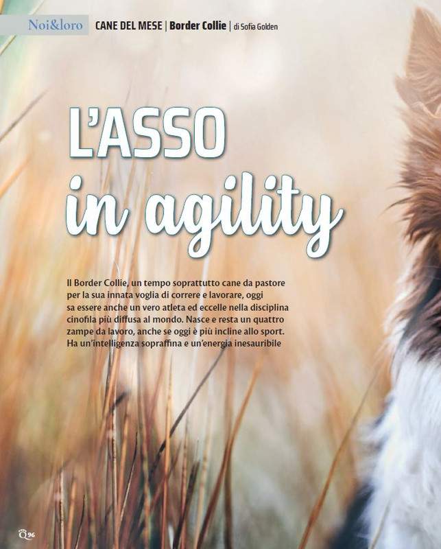 QuattroZampe Nov 2021 (9)