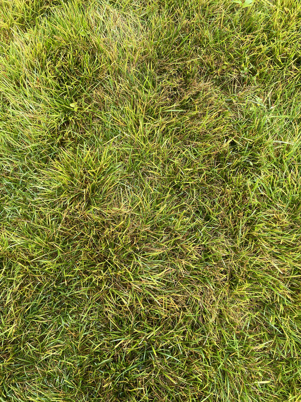 5DB81EF2-5922-48C8-AB67-4F7E9BB8B344