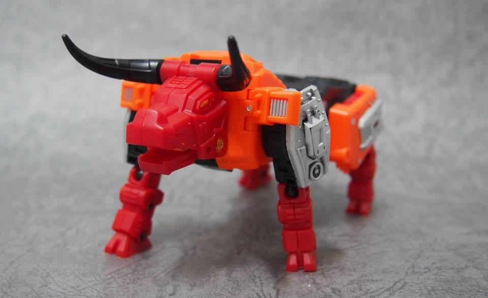 480845_348286038632141_1069583674_n