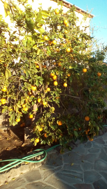 IMG_20170304_1732236_rewind