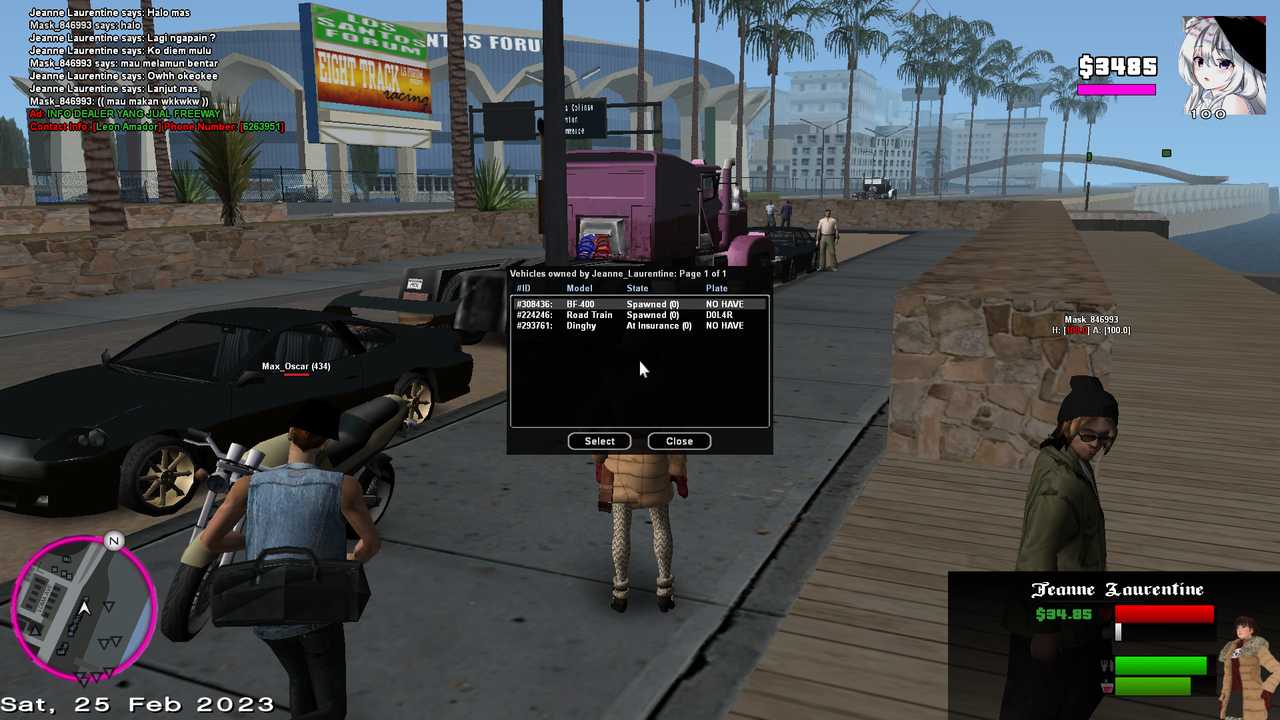 samp-25-02-2023-12-20-20.png