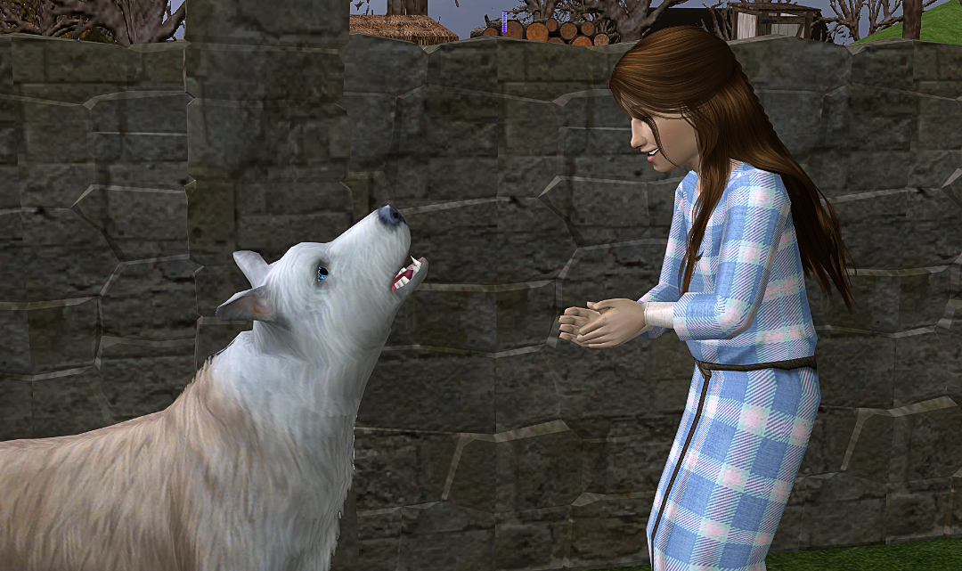 screenshot_2026_01_24_21_19