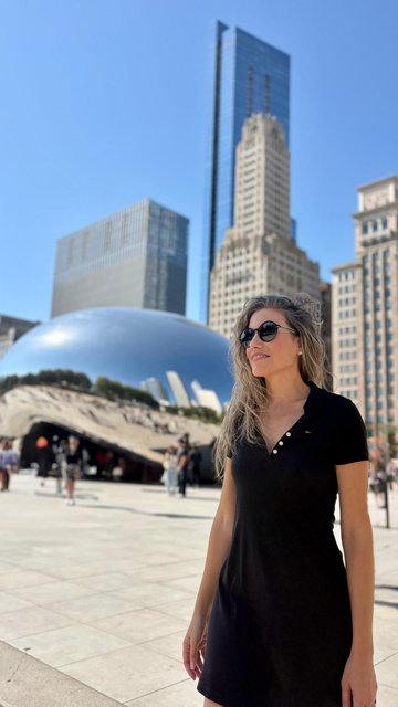 Caminando por Chicago: Esculturas, the Bean, lugares de películas y Torre Willis - Boston y Chicago (28)