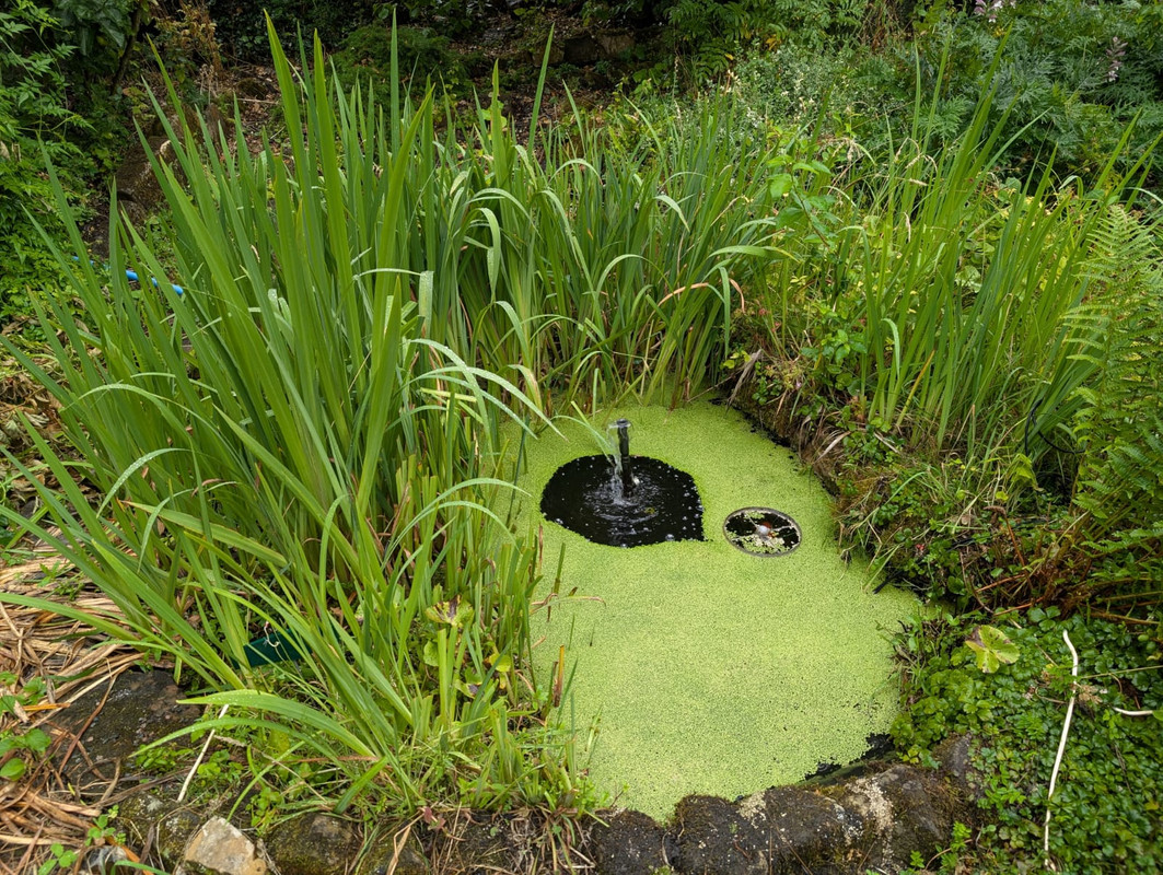 WhatsApp Image 2025-07-19 at 14.41.14_0ddb3e52