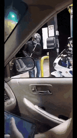 daily-gifdump-3359-27.gif