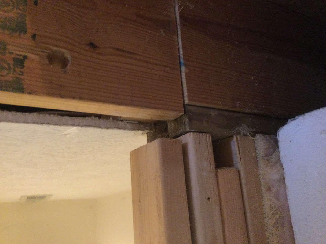 38D19DD6-57B0-44AE-A5D2-080227D0E63D