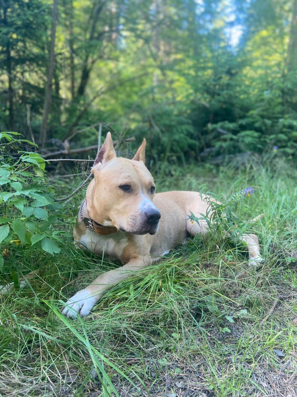 EE674C78-B41F-45E5-A3AD-A43812A57A3A