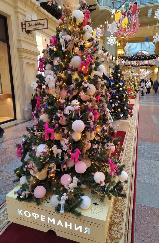 https://i.postimg.cc/SRcpSkds/101-IMG-20231122-145346.jpg