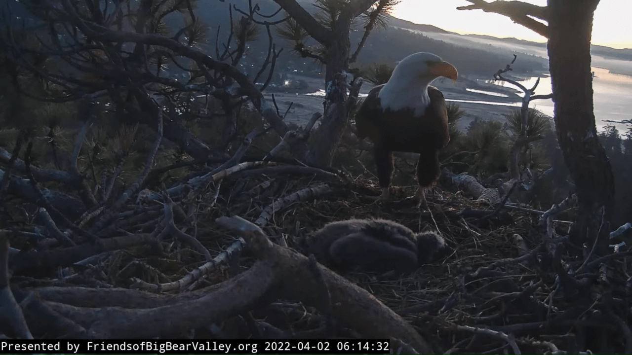 Webp.net-gifmaker (3)