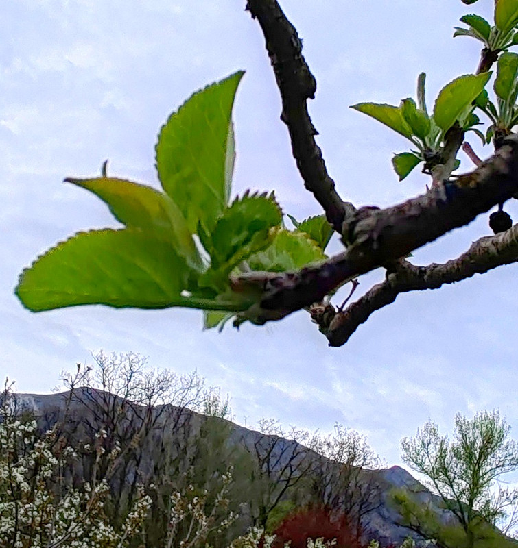 IMG 20260413 190955bb