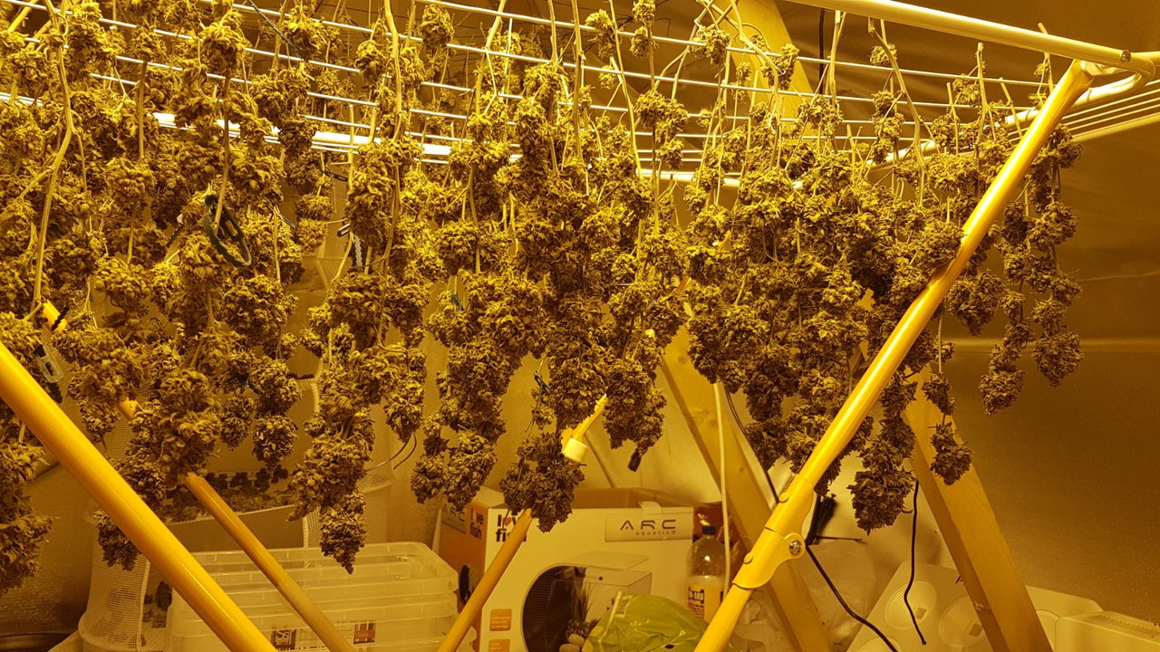 IMG-20171015-WA0234 (1)