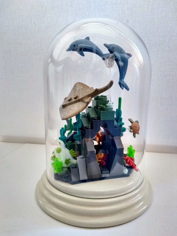 IMG_20210124_160218121_HDR