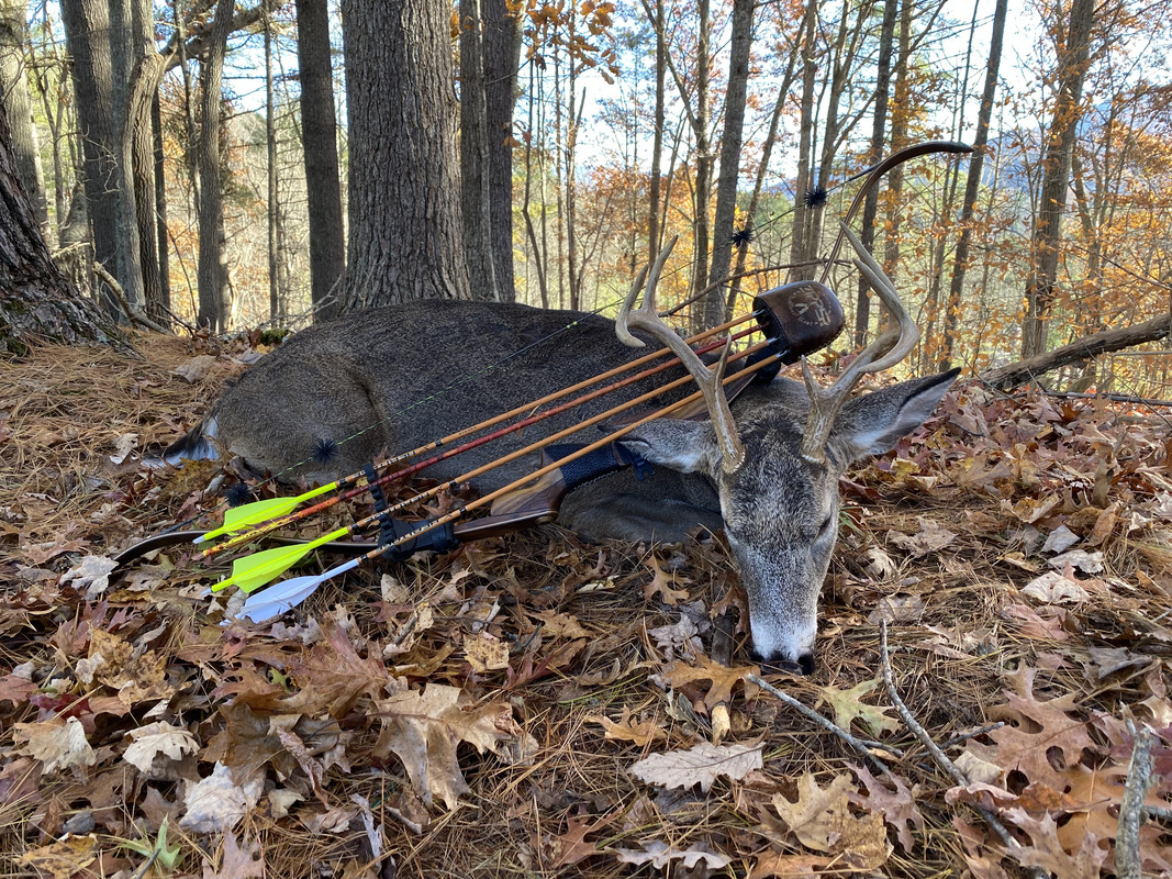 B18B9BC1-46BA-4C38-B204-5A38EAD0335E