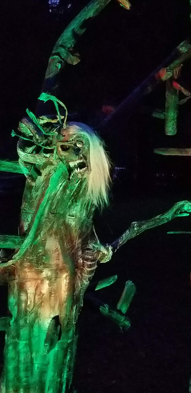 A0D5CDC0-00A7-4332-96B1-2BC120A7AD5F