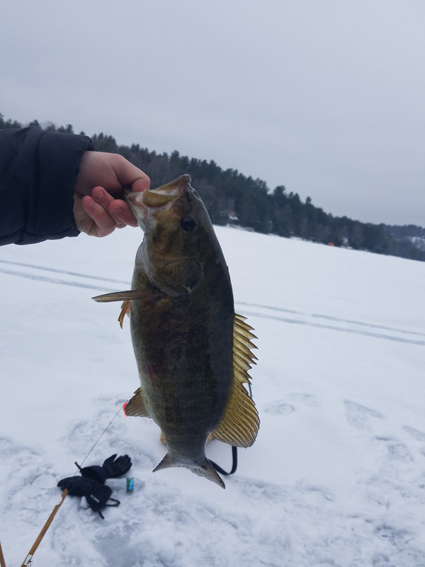 20190218_090203