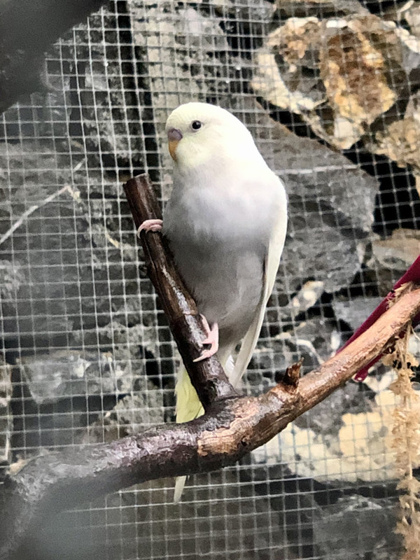 72620AB7-4211-4467-BA2A-F4EC88AC1CBD