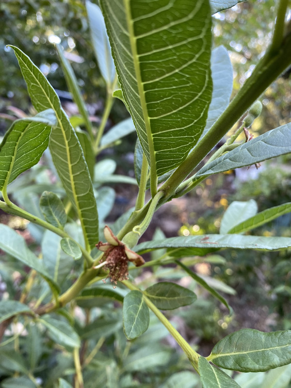 56B8B98A-AD9C-4B2F-8962-EB9DA9616597