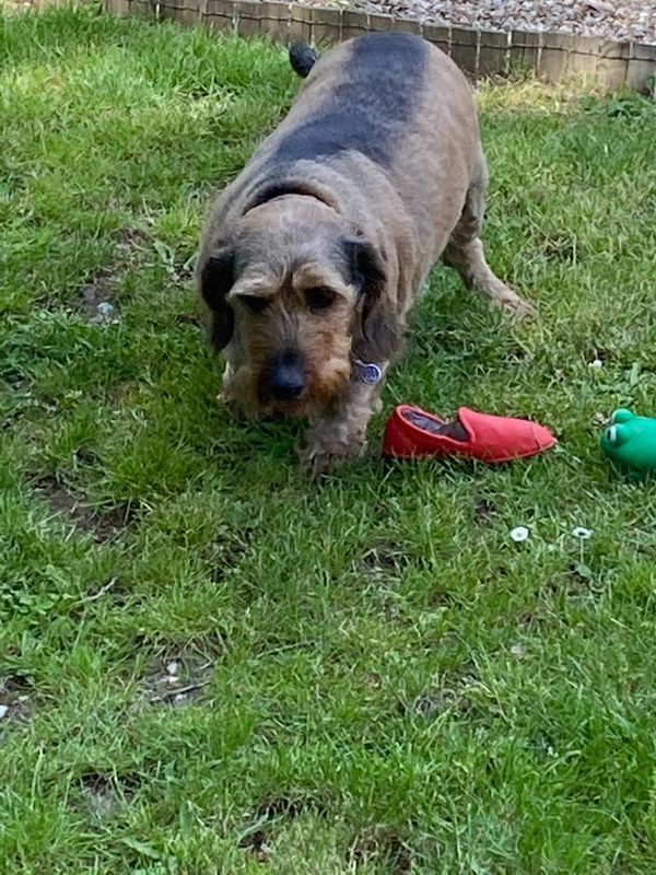 [Image: IMG-20210610-WA0008.jpg]