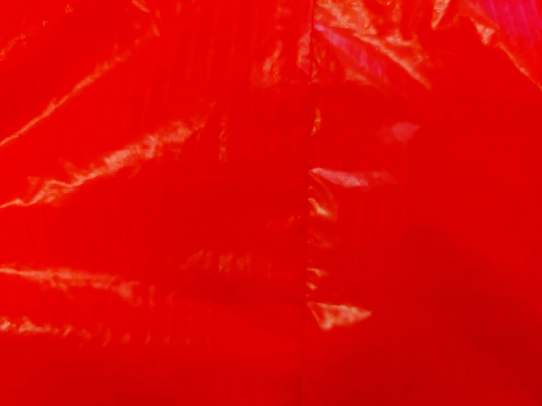 20230305-170529.jpg