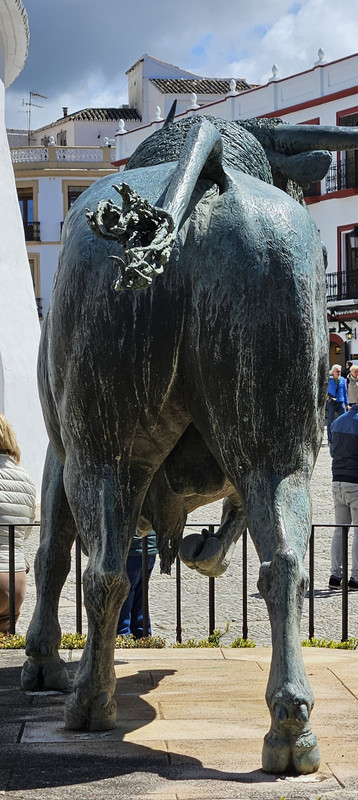 20250416_124929.jpg