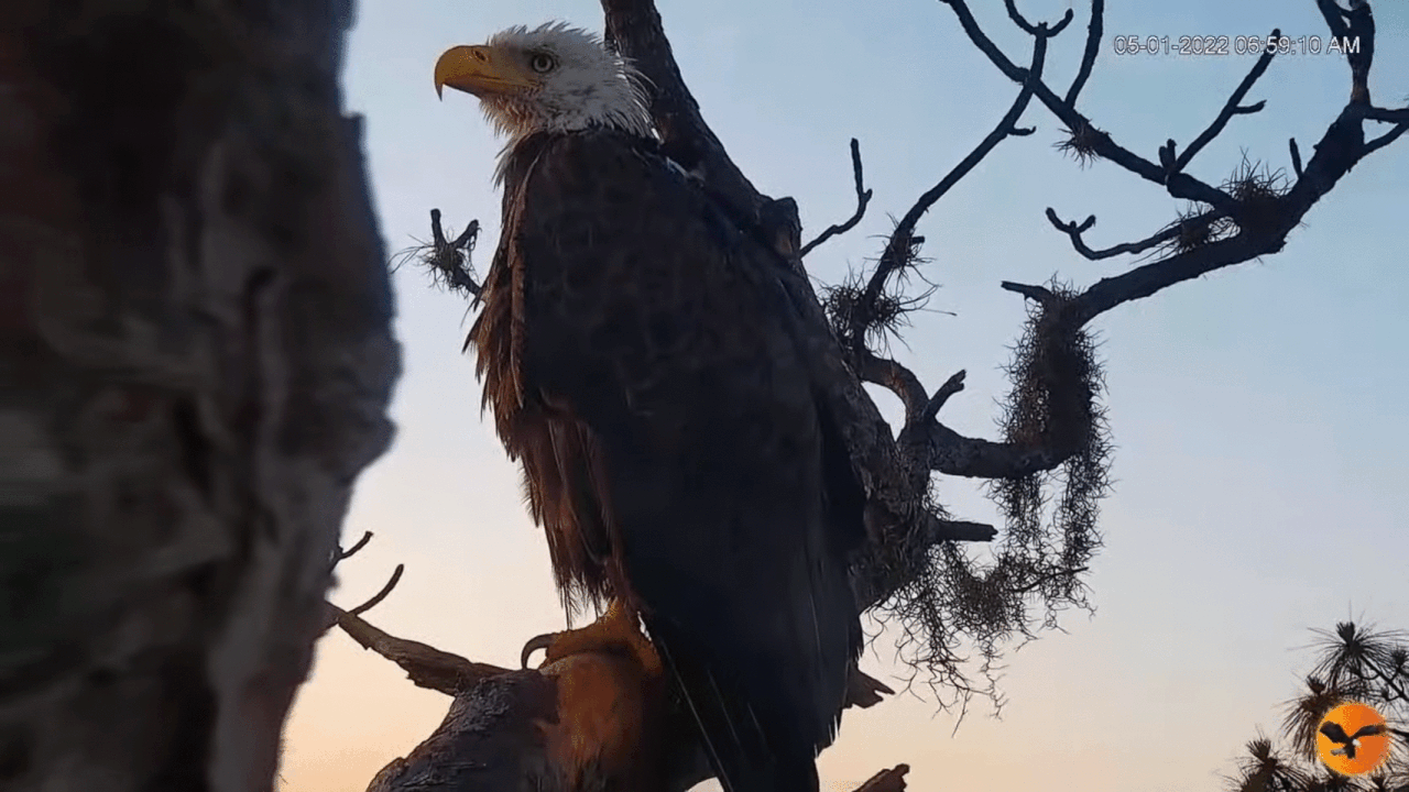 Webp.net-gifmaker (3)