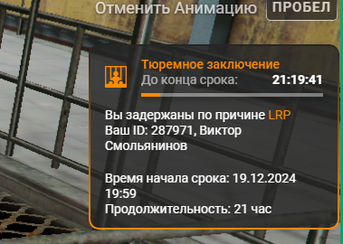 изображение_2024-12-21_013731929