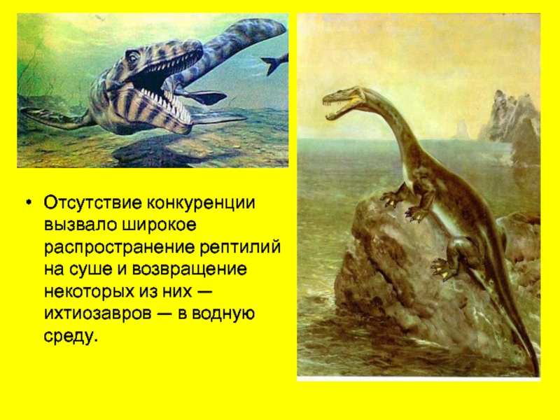 35a2881d9b8bfde817277fa33e41c3f2 800x