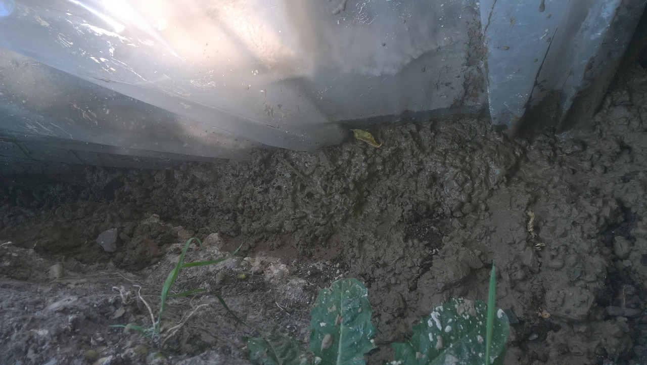 WP_20180628_10_33_53_Pro_LI