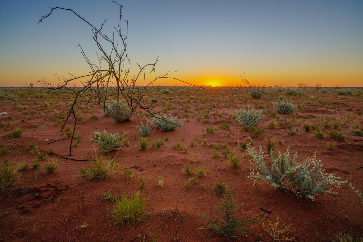 Gibson Desert - Australian Photoholics Forum