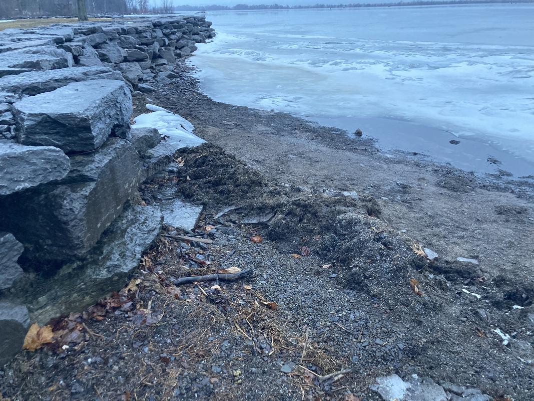 0C4E6517-73B1-4F13-B1F8-95F05F49D5A0