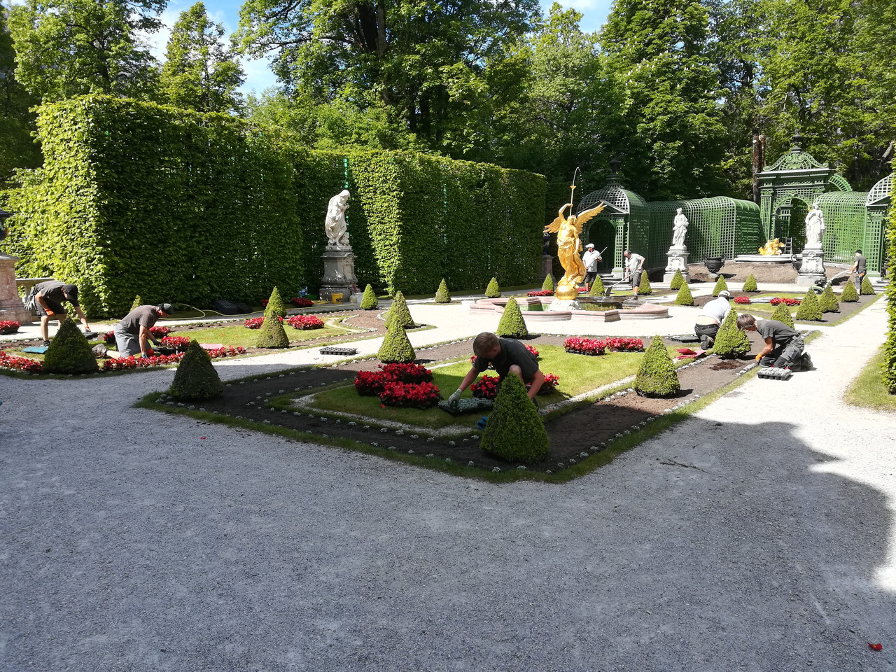 IMG 20200603 102508
