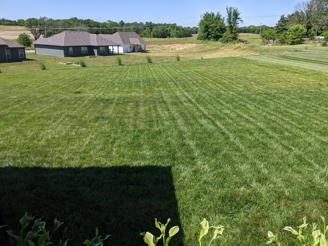 PXL_20210616_203010749