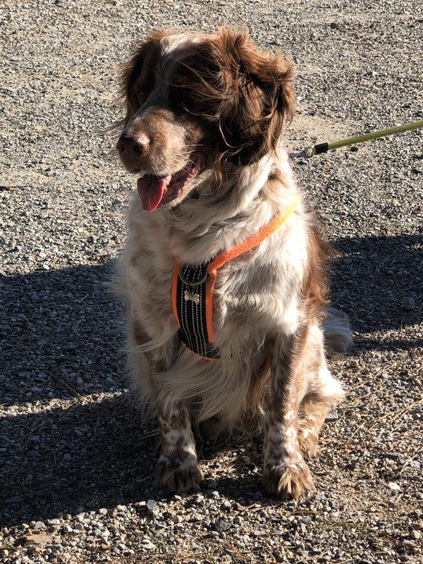 E402BB07-E83A-405B-8A08-8E3336EC028A