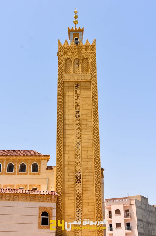 DSC7872