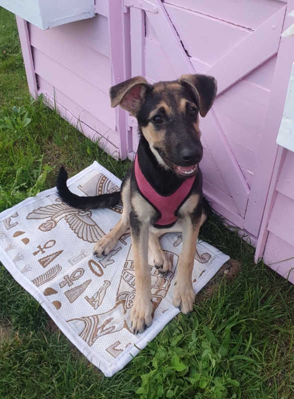 Screenshot_20230919-160028_Gallery