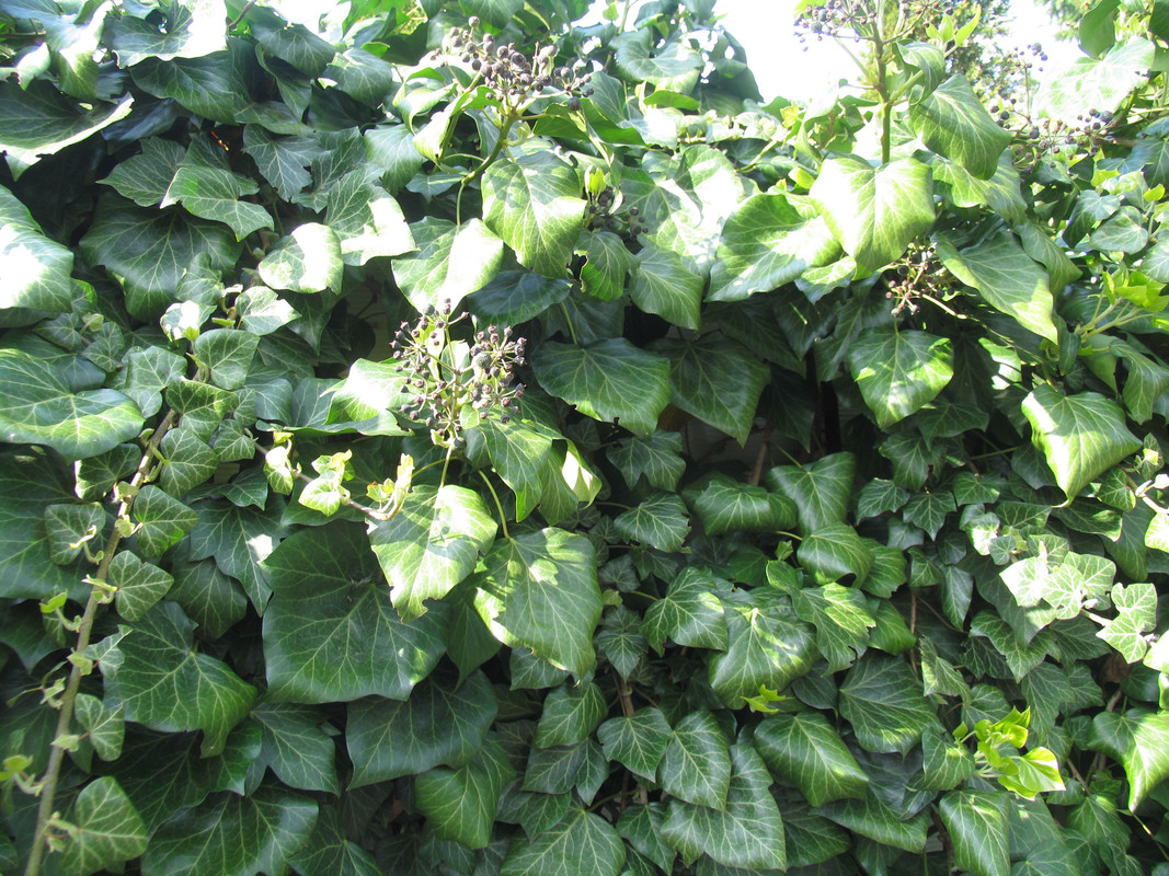 28 апреля 2024 047