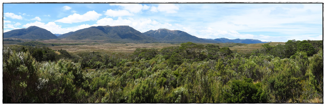 Escapadas y rutas por la Nueva Zelanda menos conocida - Blogs de Nueva Zelanda - Kahurangi NP: Heaphy Track (Navidad 2020, III) (24)