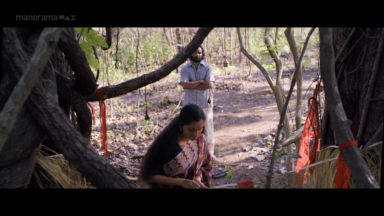 vlcsnap 2026 02 06 18h01m52s324