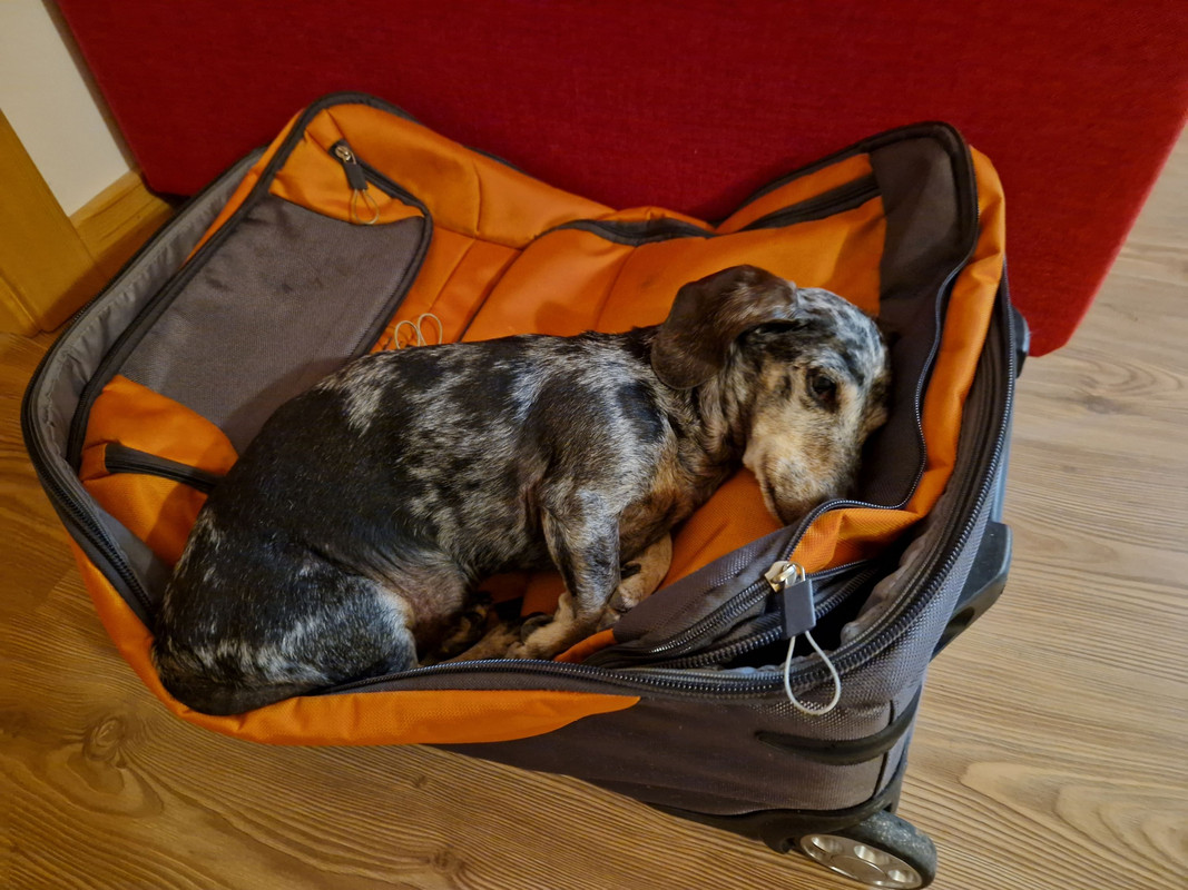 [Image: 20250614-010901-TSDF.jpg]